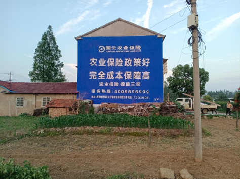 社旗墙体广告为何受追捧?